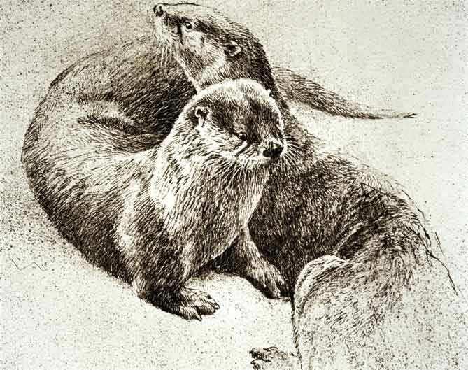 River Otters